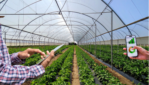 Master Farmer - KIC™
