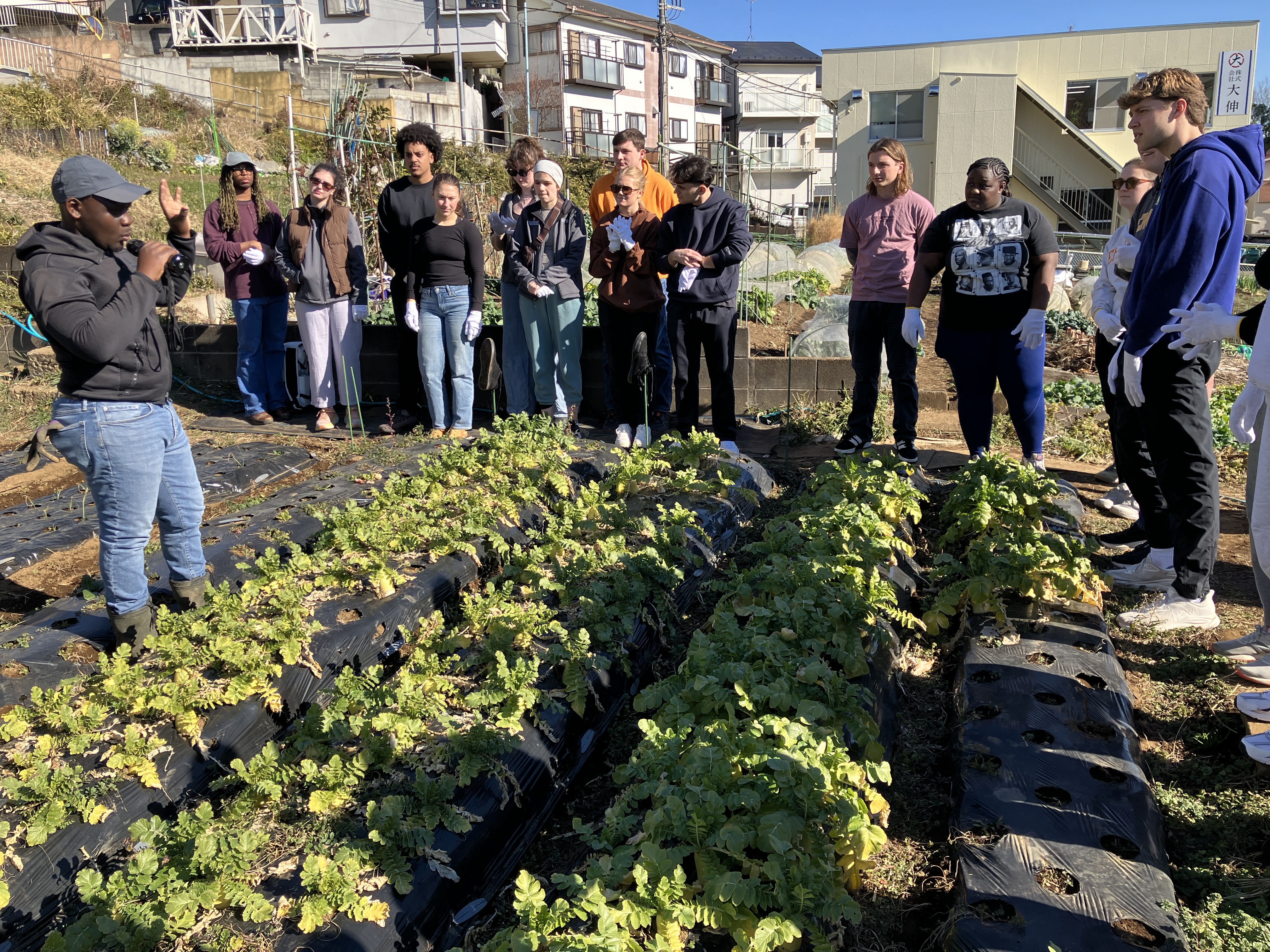 収穫の知識共有