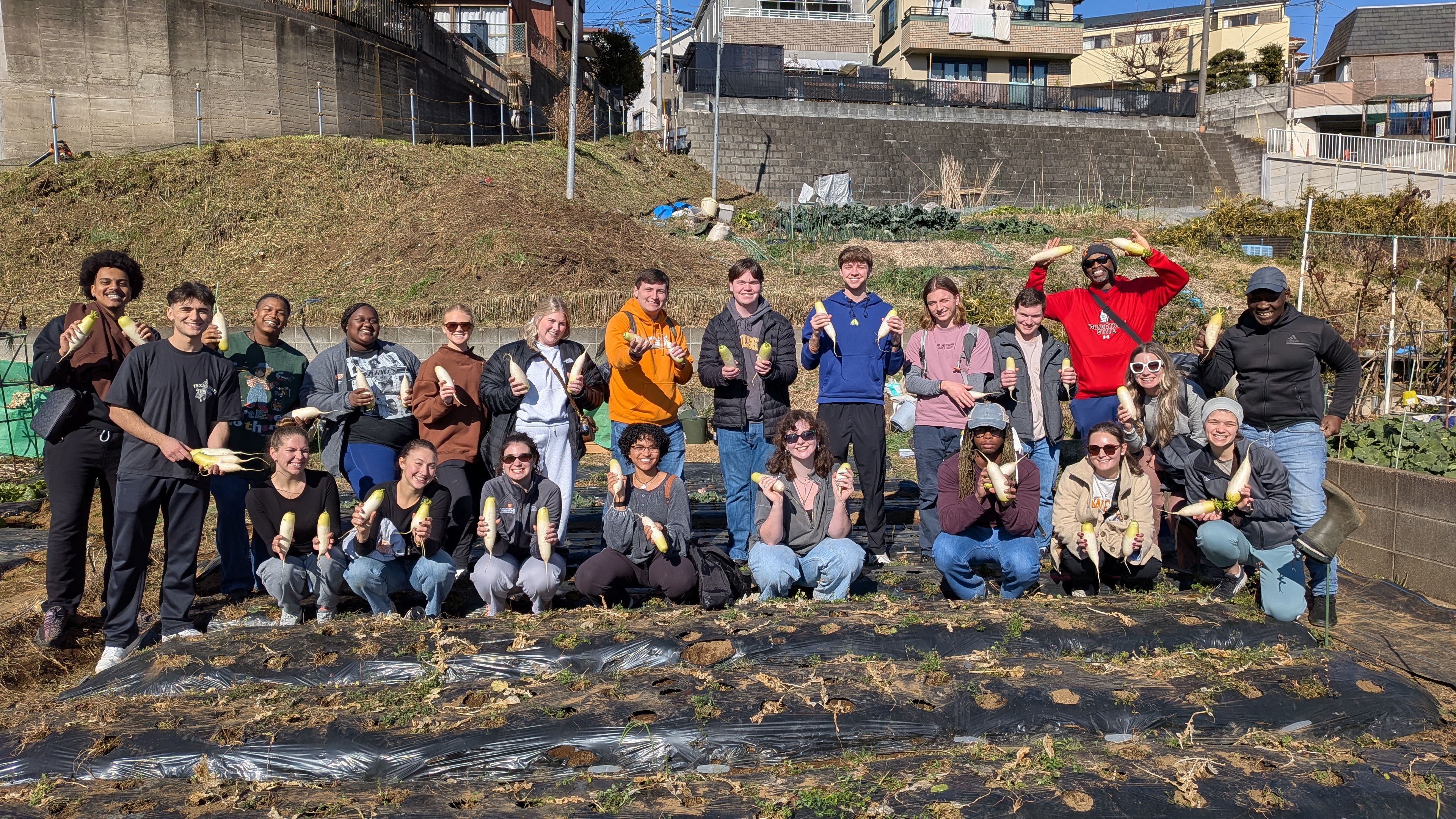 稲城の農場にいる学生たち